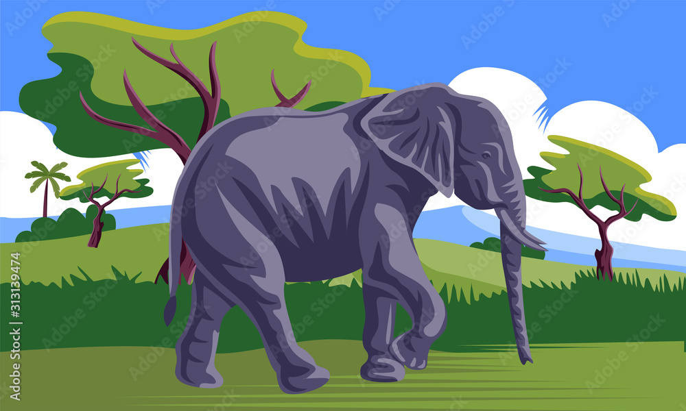 Fototapeta premium elephant walking in jungle vector