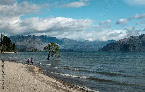 People photographing the world famous Wanaka Tree in New Zealand’s lake Wanaka