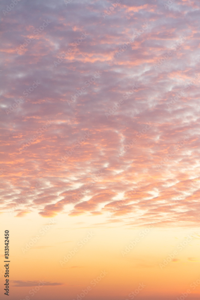 pink sky with feather clouds