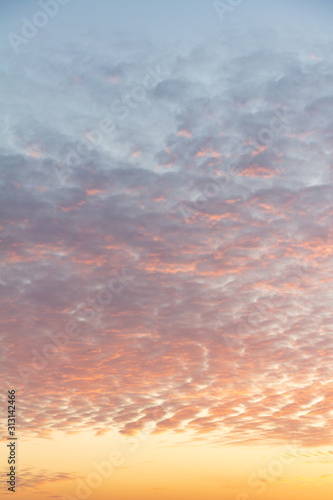pink sky with feather clouds