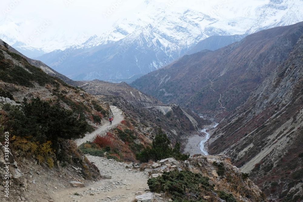 Cyclist riding on winding mountain road with snowy Gangapurna peak in background, on trail from Thorung Phedi to Yak Kharka, Himalaya, Nepal. During trekking around Annapurna, Annapurna Circuit