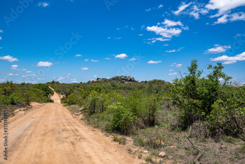 Kruger Park South Africa