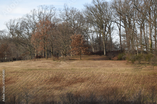 rural landscape