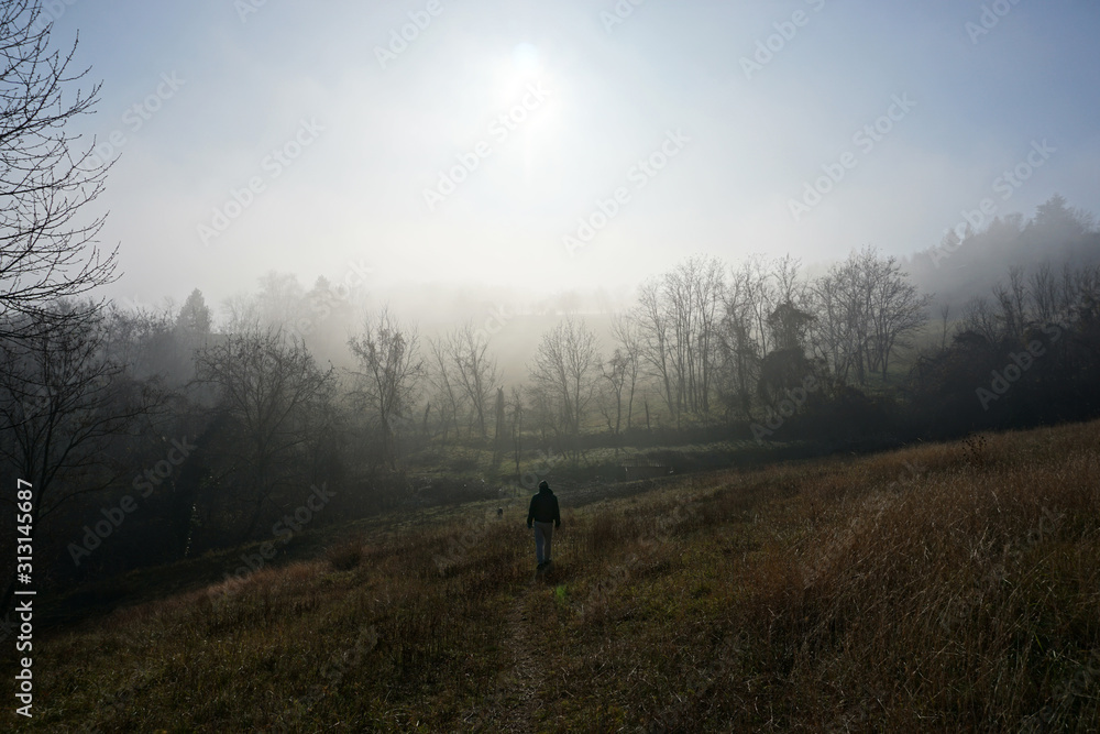 silhouette of man with dog in forest