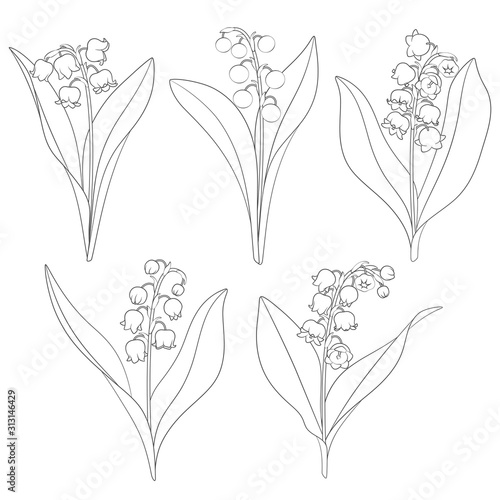 Set of black and white images with lilies of the valley. Isolated vector objects on a white background.
