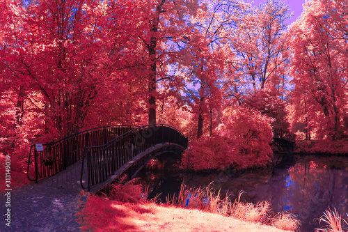Valokuva Park in Infrared