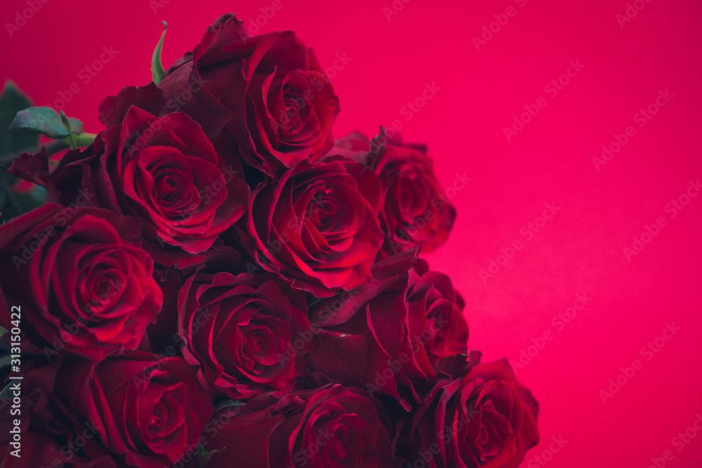 Valentine's day background, red roses Valentine's day background, red roses