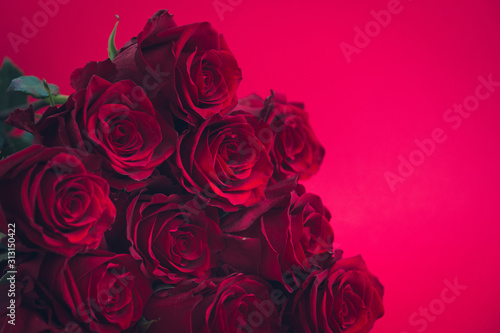 Valentine s day background  red roses 