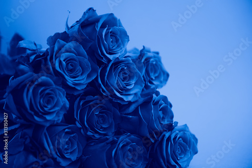 bouquet of roses, blue toning, color of the year