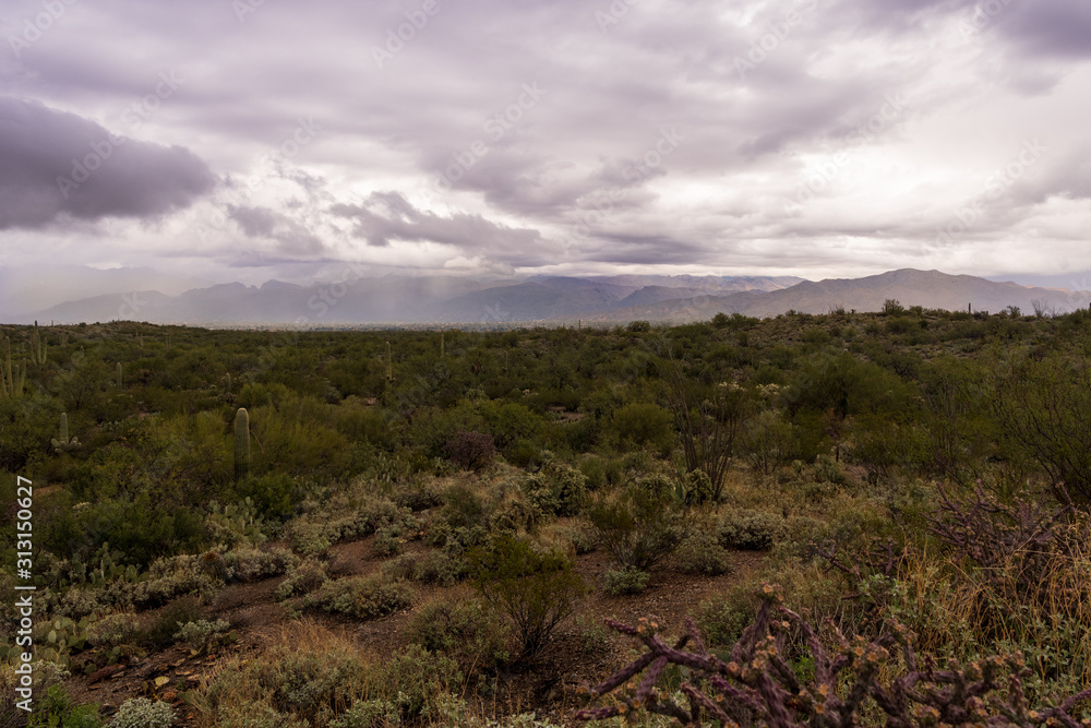 Arizona Landscapes Arizona Landscapes