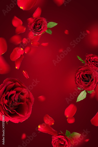 Flying petals and red roses on a red background with copy space. Creative floral levitation in the air nature layout. Spring blossom concept for wedding, women, Mother, 8 March, Valentine's day