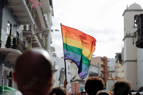 lgbtqia+ pride flag waving during golden hour during june (ID: 313153805)