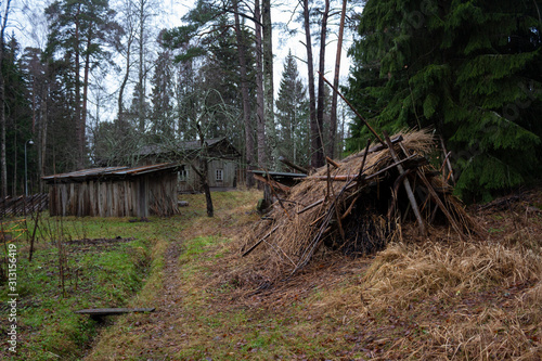 Dry grass hut in a forest near historic authentic wooden houses of the 17th century in a forest park on the island of Seurasaari in Helsinki in Finland in late autumn.