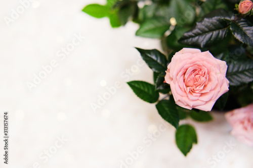 Invitation card from pink roses  a bouquet of flowers  bokeh. Mothers Day Greeting Card