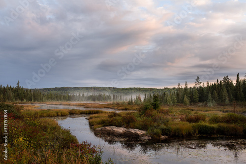 Fototapeta Naklejka Na Ścianę i Meble -  river through marsh land Algonquin park Ontario Canada