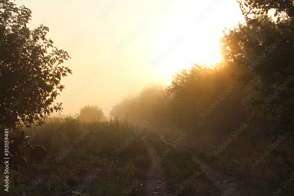 Beautiful nature and road at sunset on a summer evening Beautiful nature and road at sunset on a summer evening