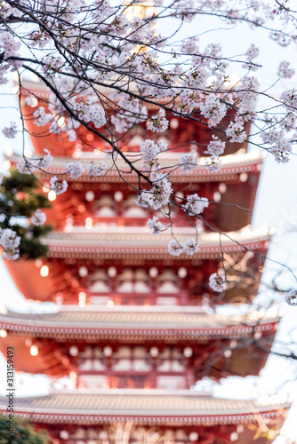 Pagoda at Sensoji Asakusa Temple in springtime  Tokyo