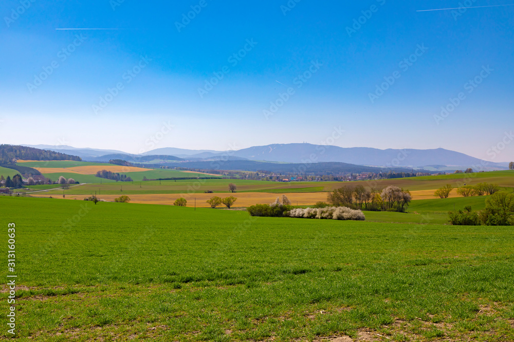 Wiew of transmitter Hohen Bogen ( Germany).  Coutryside landscape in summer season.
