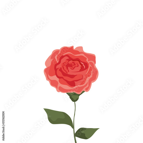 cute rose with branch and leafs isolated icon