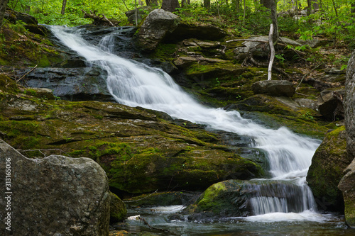 waterfall in forest