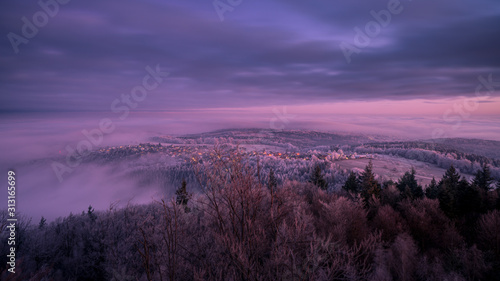 Winter Morning in the Black Forest © Markus Semmler