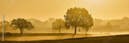 Wallpaper Mural morgendunst Torontodigital.ca