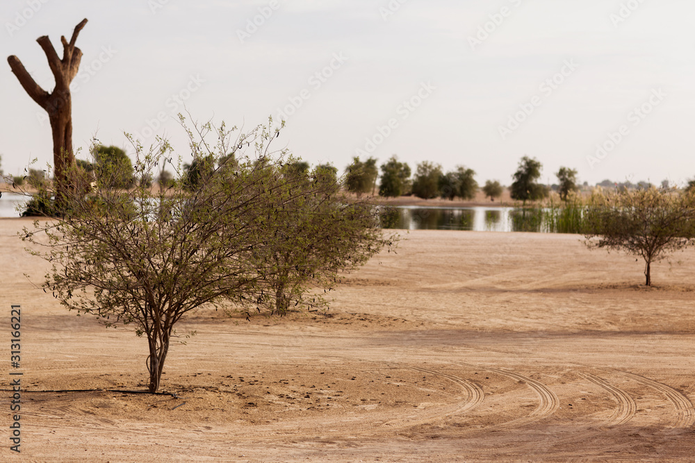 Fototapeta premium Love Lake Heart Shaped Landscape in Dubai