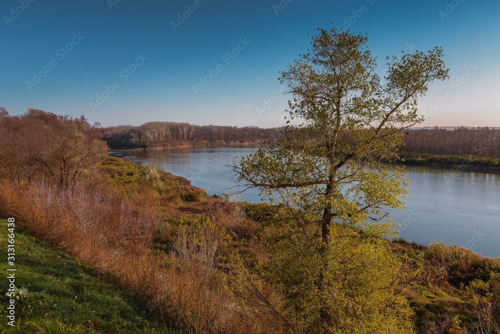 lake in autumn (day landscape)