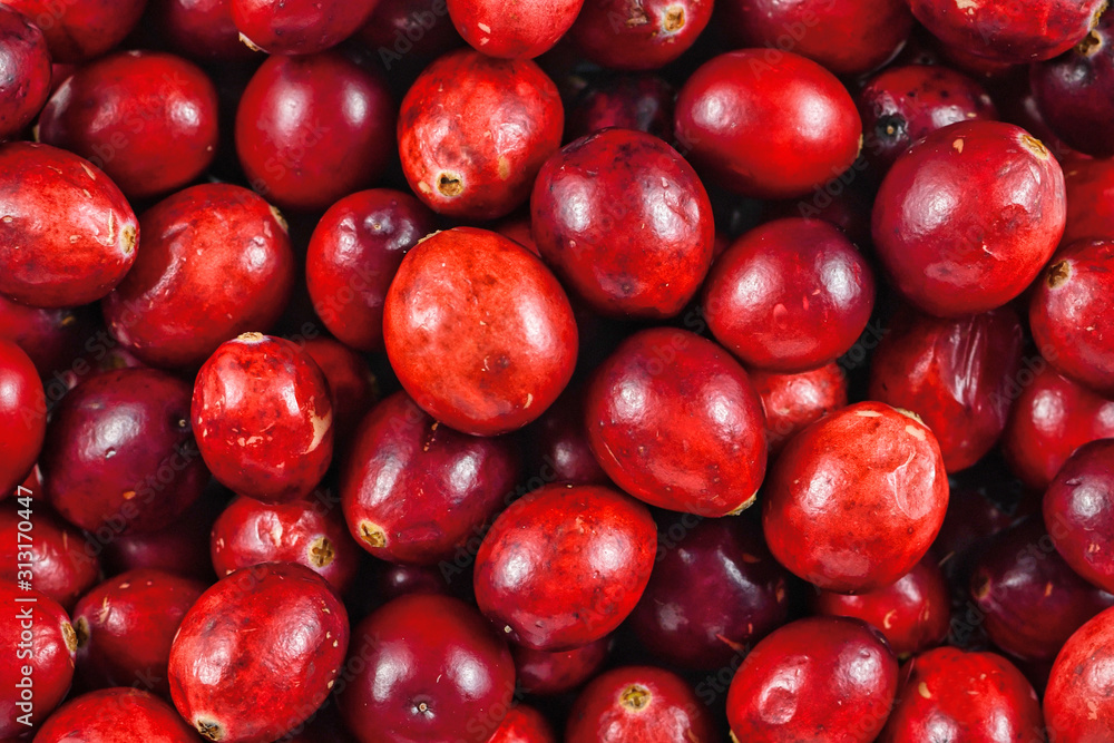 Top view of bunch of raw organic red cranberriy fruits Top view of bunch of raw organic red cranberriy fruits