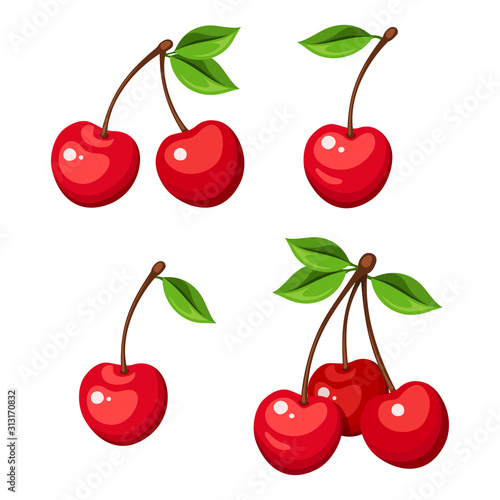 Billede på lærred Vector illustration of four cherry berries and bunches of cherry isolated on a white background