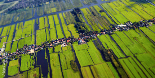 Aerial view of cultivated agricultural farming land with vivid green color as a typical dutch canals natural irrigation system shot from the air with tilt-shift focus effect