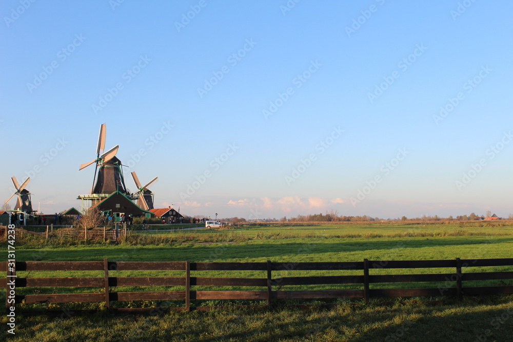 Naklejka premium rural landscape with windmill