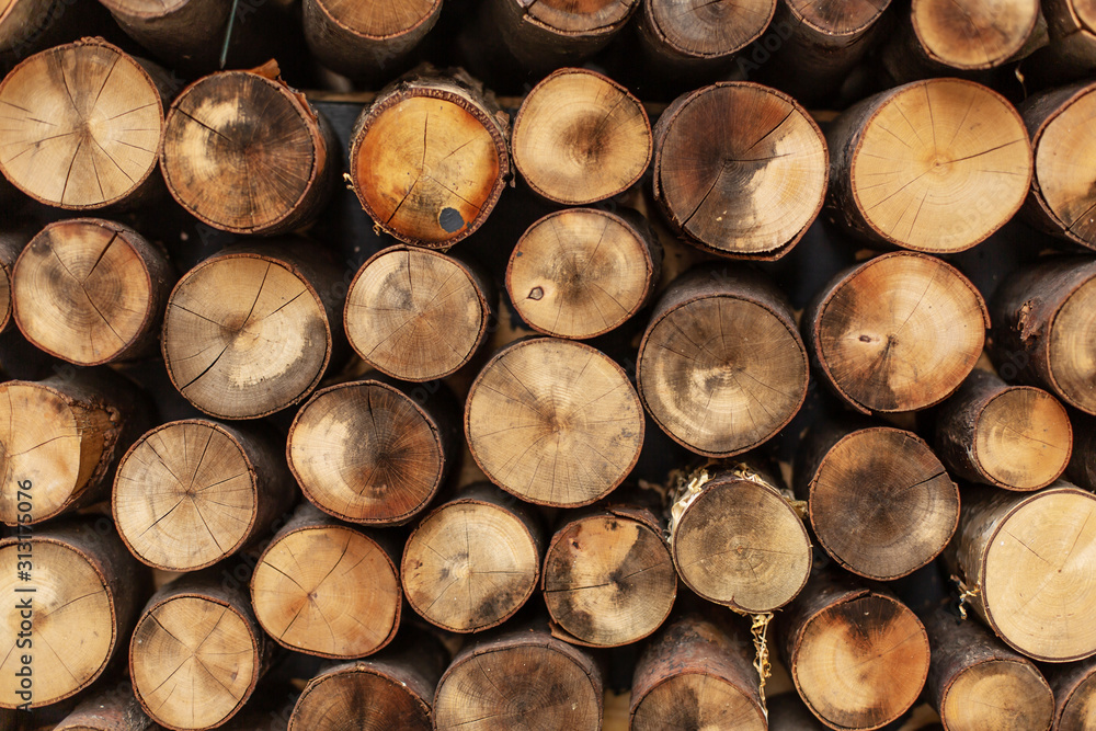Round split logs piled in rows wood texture. Round split logs piled in rows wood texture.