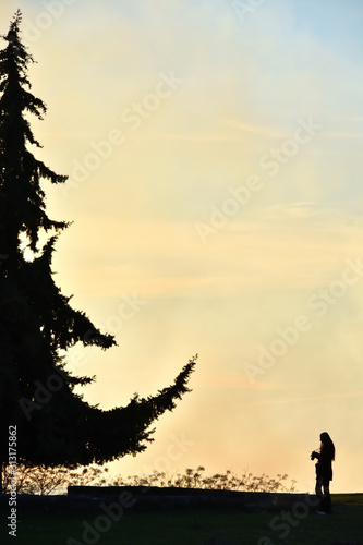 Backlight of a young photographer in front of a large fir tree in a foggy sunset