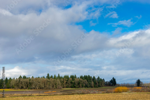 Sauvie Island, Oregon photo