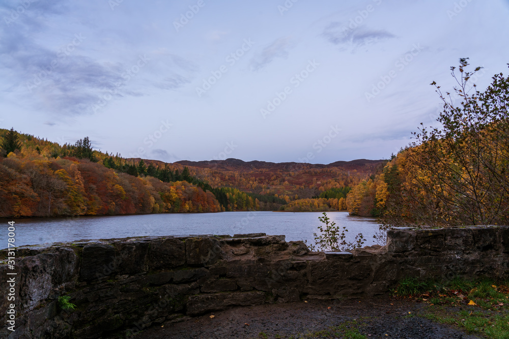 Forest in autumn colours at dawn near Pitlochry in Perthshire, Scotland Forest in autumn colours at dawn near Pitlochry in Perthshire, Scotland