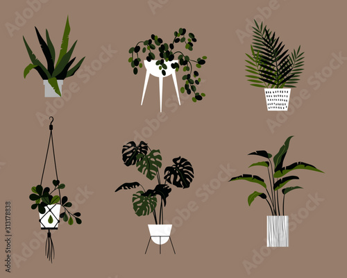 Set of vector plants in pots. Floral collection in flat style