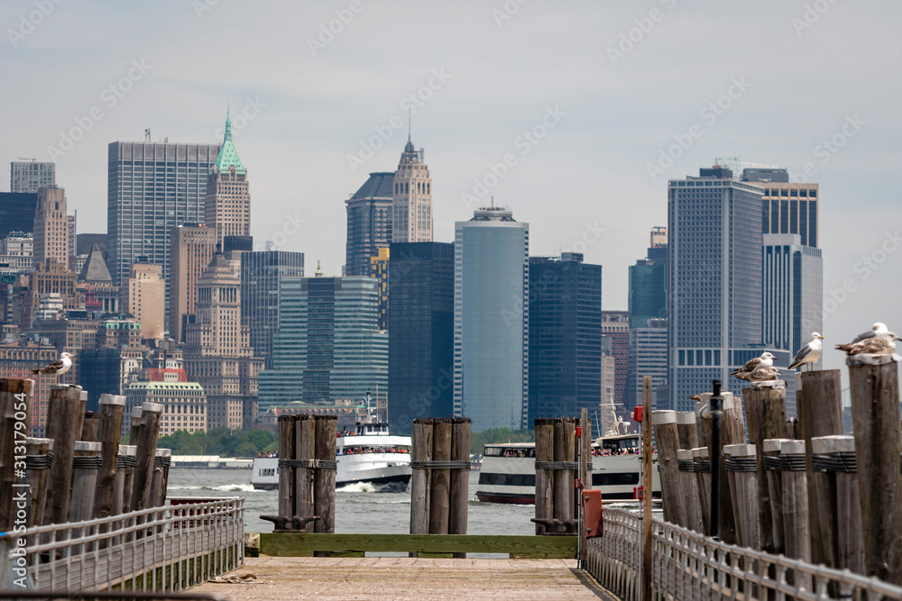 Obraz premium Seagulls at the Old Ferry Dock on Liberty Island near New York City, USA - Image