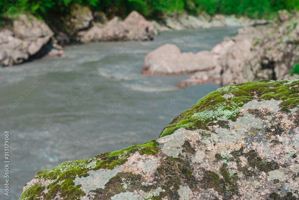 green moss on a rock in the mountains by a mountain river. focusing on the stone