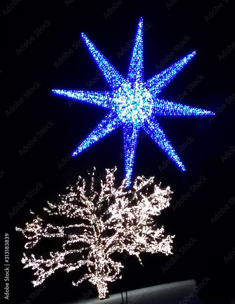 lighted tree on black back ground lighted tree on black back ground