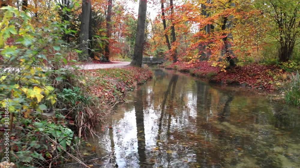 Munich Autumn trees in the english garden with a drone in the afternoon and evening at 4k 24fps Munich Autumn trees in the english garden with a drone in the afternoon and evening at 4k 24fps