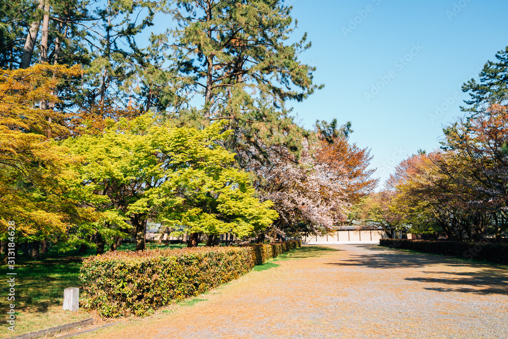 Kyoto Gyoen National Garden at spring in Japan