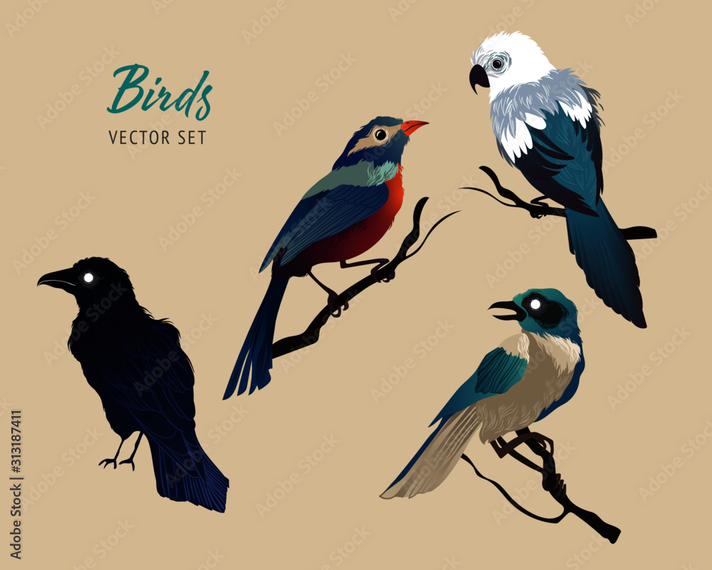 Set of vector birds. Colourful hand drawn illustration Set of vector birds. Colourful hand drawn illustration