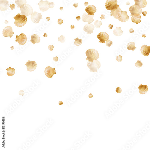 Gold seashells vector, golden pearl bivalved mollusks.