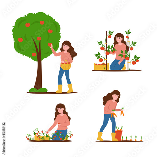 One Agronomist girl picks apples, carrots, tomatoes and strawberries. Set flat vector modern illustration isolated white background.