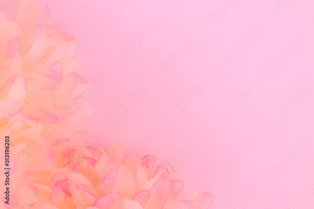 Beautiful abstract color white and pink flowers on white background and white flower frame and orange leaves background texture, flowers banner, pink background Beautiful abstract color white and pink flowers on white background and white flower frame and orange leaves background texture, flowers banner, pink background
