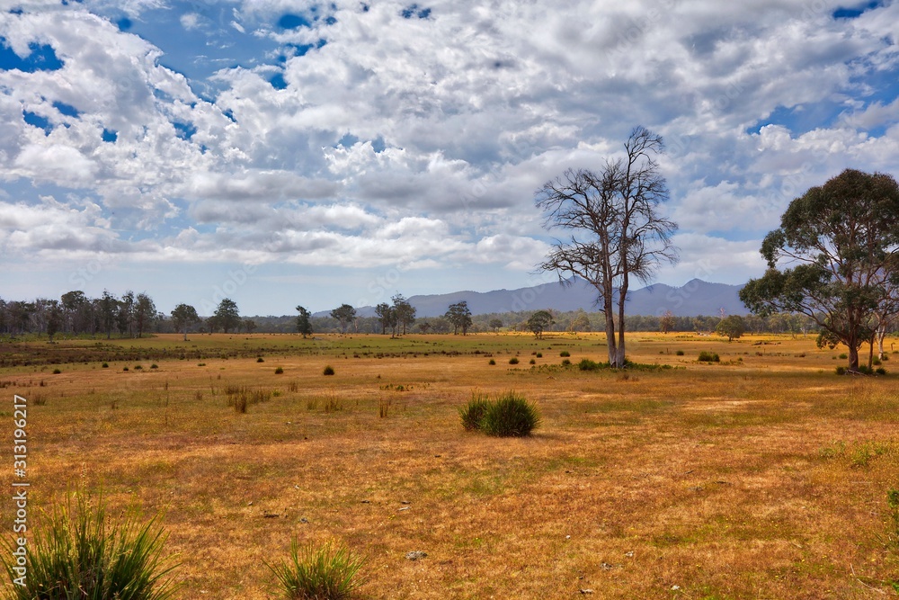 rural landscape in north eastern Tasmania
