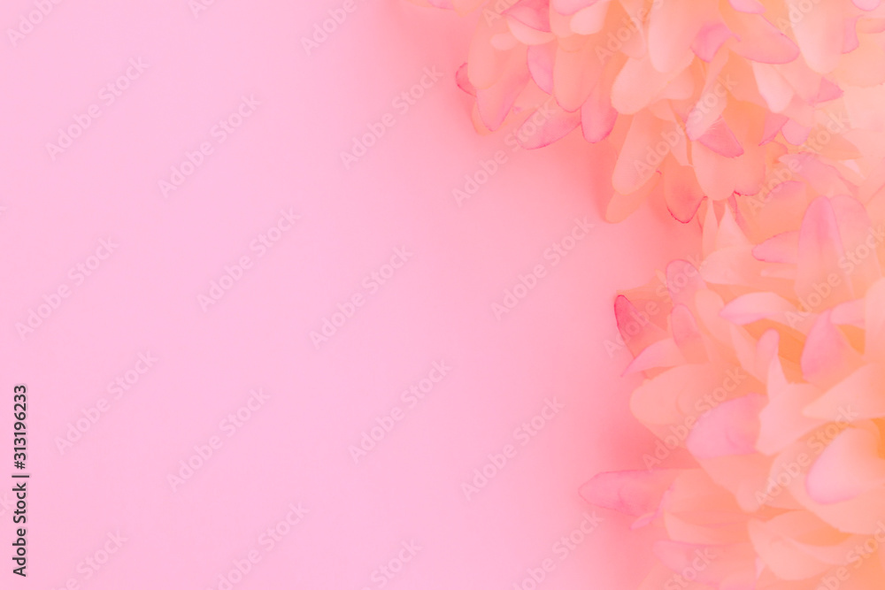 Beautiful abstract color white and pink flowers on white background and white flower frame and orange leaves background texture, flowers banner, pink background