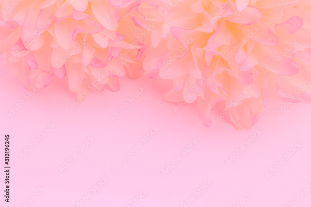 Beautiful abstract color white and pink flowers on white background and white flower frame and orange leaves background texture, flowers banner, pink background