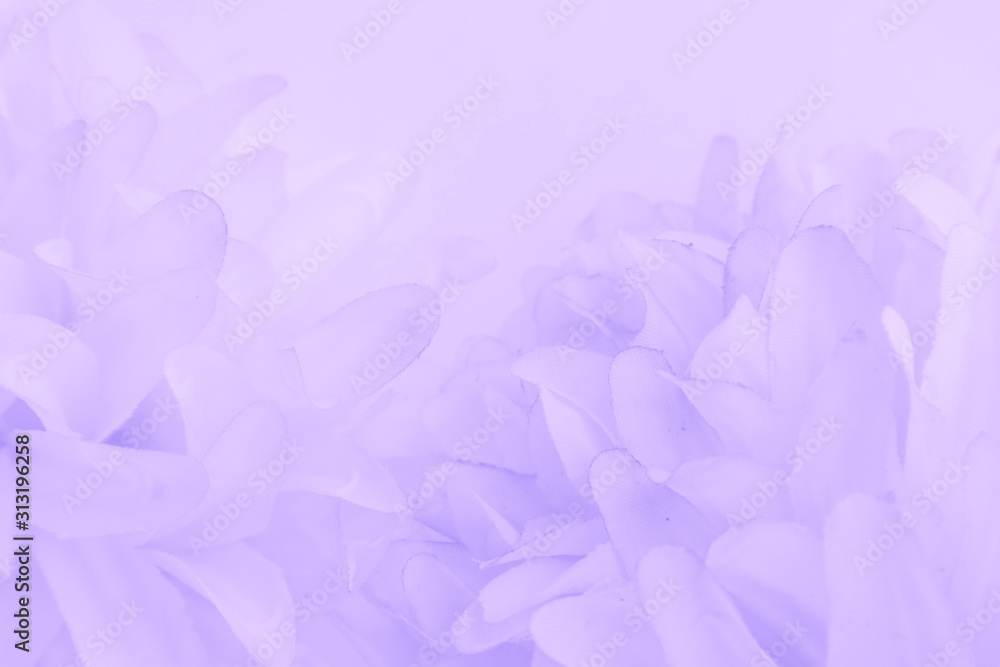 37000 Light Purple Background Pictures